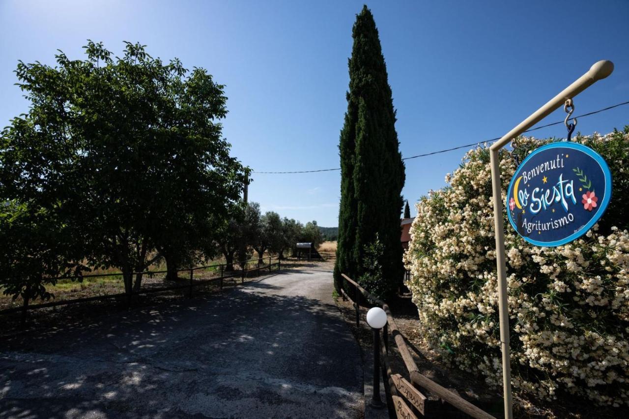 Agriturismo La Siesta Villa Marsiliana Kültér fotó